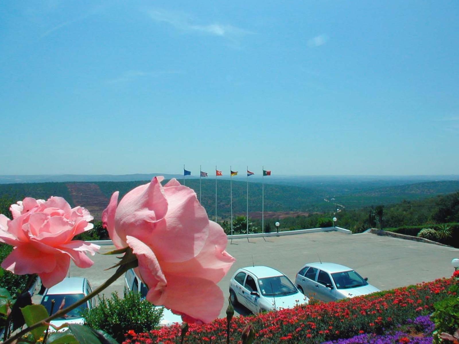 Alte Hotel Экстерьер фото